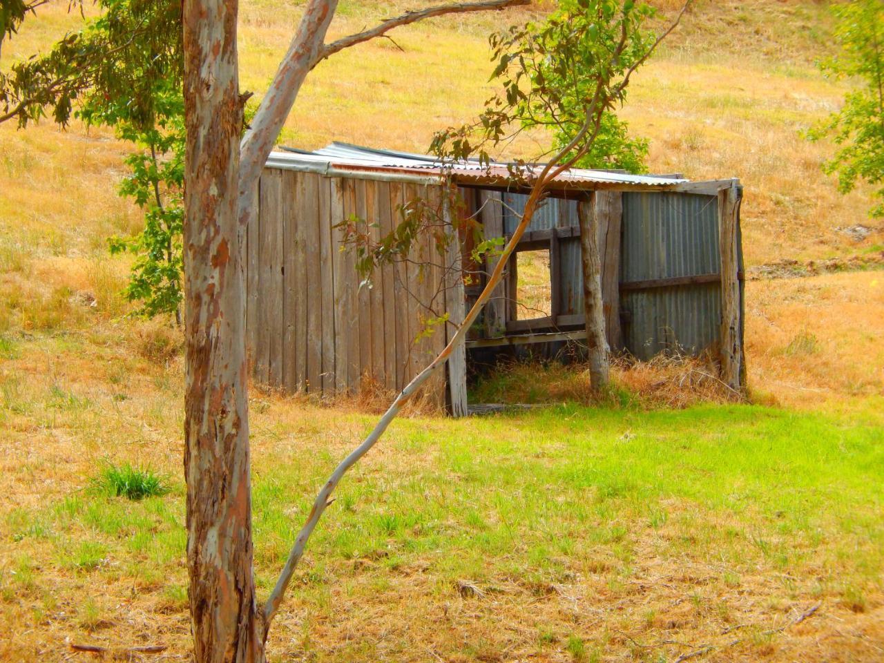 Norton Summit Morialta Barns Bed & Breakfast エクステリア 写真